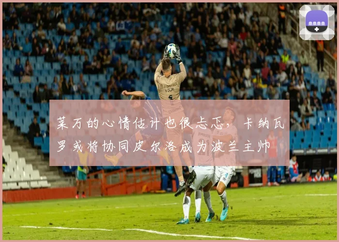 莱万的心情估计也很忐忑，卡纳瓦罗或将协同皮尔洛成为波兰主帅