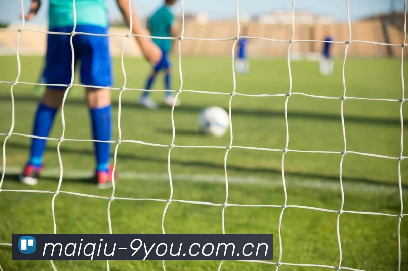 多媒体互动体验